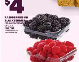 Loblaws RASPBERRIES OR BLACKBERRIES, HALF PINT offer