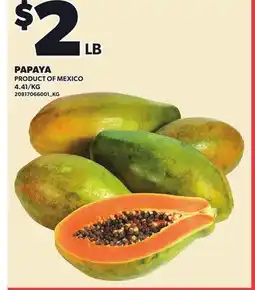 Loblaws PAPAYA offer