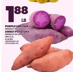 Loblaws PURPLE UBE YAM OR SWEET POTATOES offer