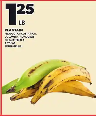 Loblaws PLANTAIN offer