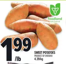 Metro SWEET POTATOES offer