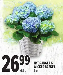 Metro HYDRANGEA 6 WICKER BASKET offer