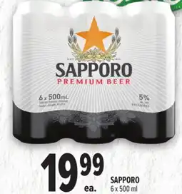 Metro SAPPORO offer