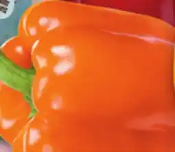 Metro LPC CREAMER POTATOES OR LARGE RED, ORANGE OR YELLOW SWEET PEPPERS offer