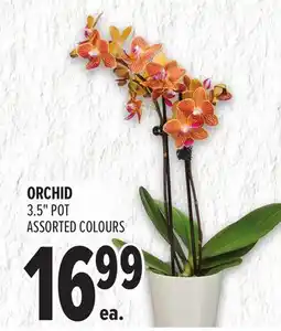 Metro ORCHID offer