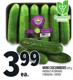 Metro MINI CUCUMBERS offer