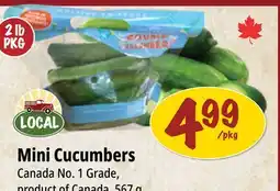 Farm Boy Mini Cucumbers offer