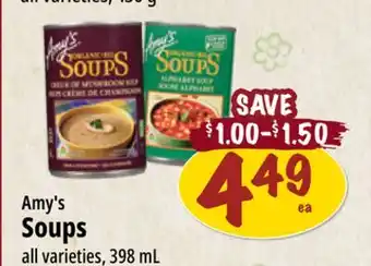 Farm Boy Amy's Soups offer