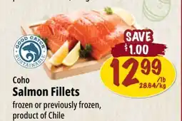 Farm Boy Coho Salmon Fillets offer
