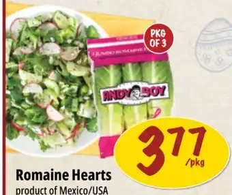 Farm Boy Romaine Hearts offer