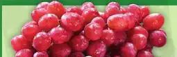 Food Basics GREEN OR RED SEEDLESS GRAPES offer