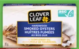 Food Basics CLOVER LEAF SMOKED OYSTERS OR MUSSELS offer