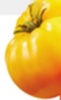 Food Basics HEIRLOOM TOMATOES offer
