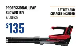 Canac Professional Leaf Blower 18V offer