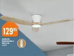 Canac Ceiling Fan offer