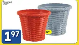 Rossy Flower pot offer