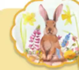 Walmart Your choice Rabbit-themed napkins 18-pack, dessert plates 12-pack, oval plates 8-pack or tablecloth offer