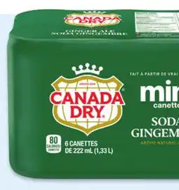 Walmart Canada Dry ginger ale mini cans offer