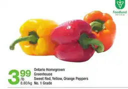 Highland Farms Ontario Homegrown Greenhouse Sweet Red, Yellow, Orange Peppers offer