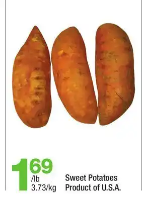 Highland Farms Sweet Potatoes offer