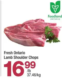 Highland Farms Fresh Ontario Lamb Shoulder Chops offer