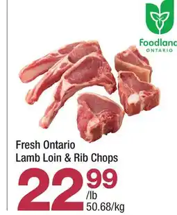 Highland Farms Fresh Ontario Lamb Loin & Rib Chops offer