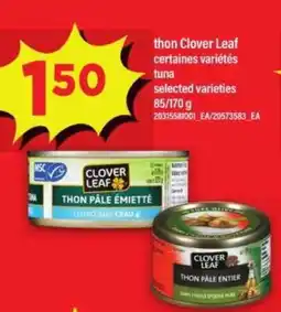 Maxi thon Clover Leaf offer