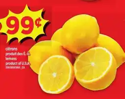 Maxi CITRONS offer