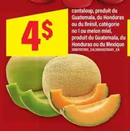Maxi Cantaloup et melon miel offer