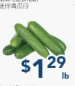 Oceans Fresh Food Market Vini Cucumber offer