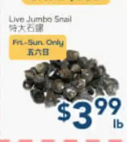 Oceans Fresh Food Market Live Jumbo Snail offer