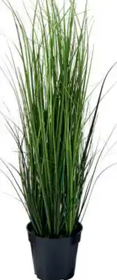 Home Hardware DANSON DECOR Artificial Onion Grass Tree offer