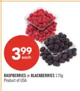 Shoppers Drug Mart RASPBERRIES or BLACKBERRIES offer