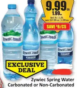 Starsky Zywiec Spring Water Carbonated or Non-Carbonated offer