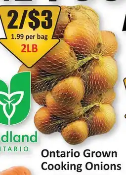 Starsky Ontario Grown Cooking Onions offer