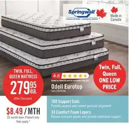 The Brick Springwall Odell Eurotop Twin Mattress offer