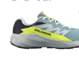 Sport Chek SALOMON MEN'S ALPHAGLIDE GTX TRAIL SHOE offer