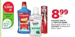 Rexall COLGATE, HELLO or TOM'S OF MAINE Mouthwash 473mL-1L or COLGATE Toothbrushes offer