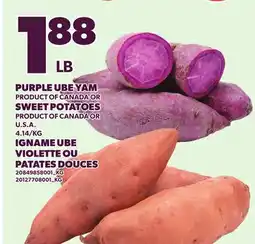 Independent City Market PURPLE UBE YAM OR SWEET POTATOES offer