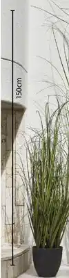JYSK MARKUSFLUE Artificial beach grass offer