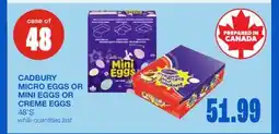 Wholesale Club CADBURY MICRO EGGS OR MINI EGGS OR CREME EGGS, 48'S offer