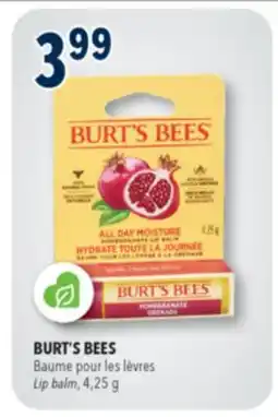 Familiprix BURT'S BEES Lip balm, 4,25g offer