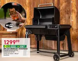 Matério BBQ AUX GRANULES WOODRIDGE offer