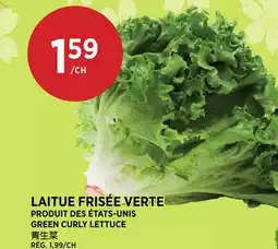 Kim Phat GREEN CURLY LETTUCE offer