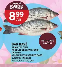 Kim Phat WHOLE FRESH STRIPED BASS offer