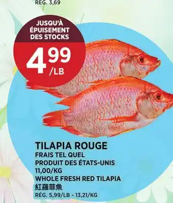 Kim Phat WHOLE FRESH RED TILAPIA offer
