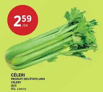 Kim Phat CELERY offer