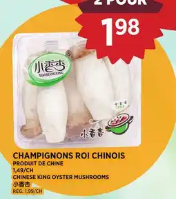 Kim Phat CHINESE KING OYSTER MUSHROOMS offer