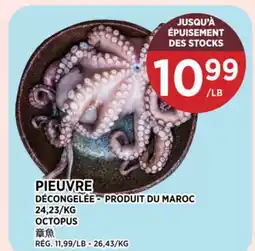 Kim Phat OCTOPUS offer