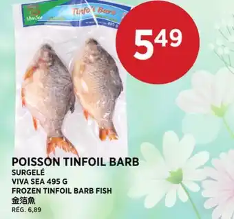Kim Phat VIVA SEA FROZEN TINFOIL BARB FISH offer